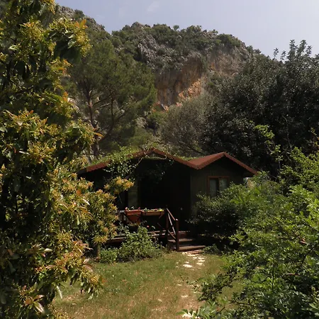 منتزه العطل Kibala Çıralı