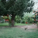 Kibala 2* Çıralı