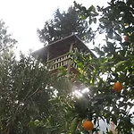 Kibala