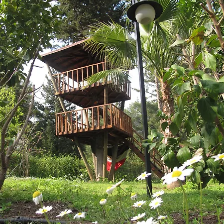 キバラ 2*