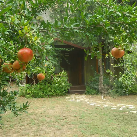 Kibala Parque de vacaciones Çıralı