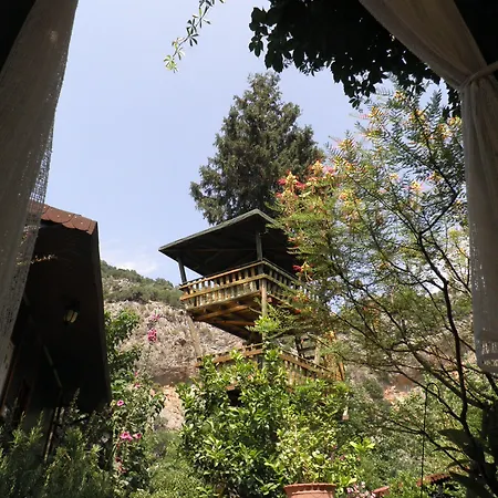 Kibala