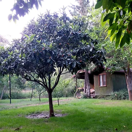 Kibala 2*