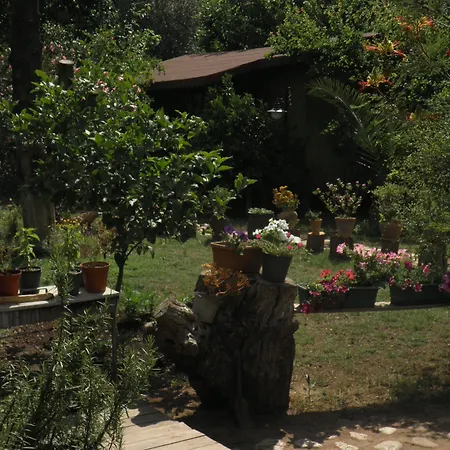 Kibala Parque de vacaciones Çıralı