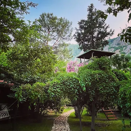 Kibala Çıralı