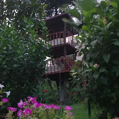 База отдыха Kibala