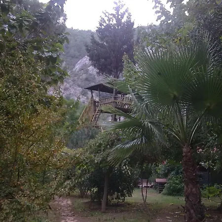 Kibala