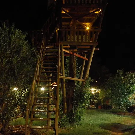 Kibala Holiday park Cirali