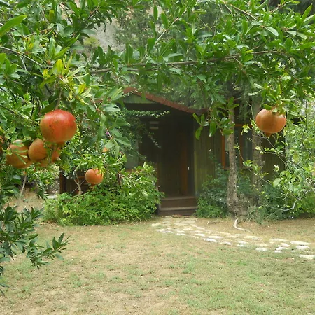 Kibala Holiday park 2*