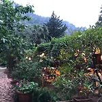 Kibala Parc de vacanță Çıralı