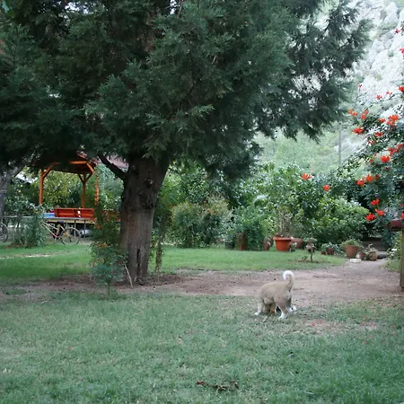 Kibala 2* Çıralı