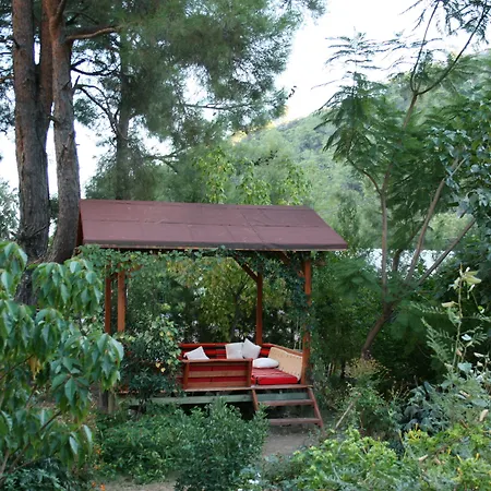 Kibala