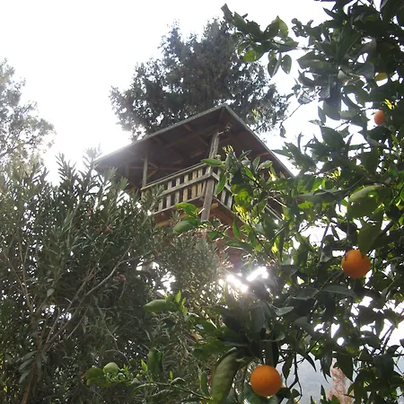 Kibala